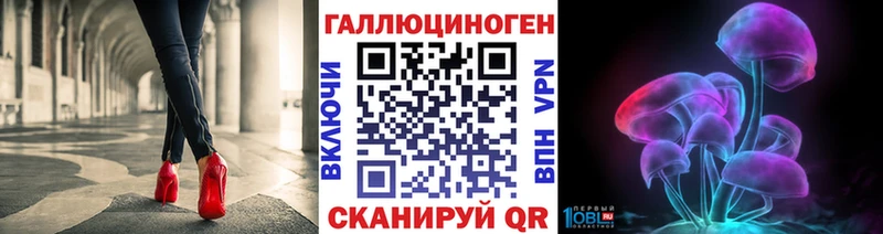 Галлюциногенные грибы GOLDEN TEACHER  купить закладку  Новомичуринск 